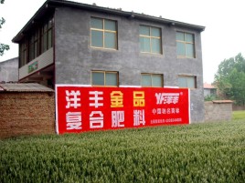  九龙如何让墙体广告展现最大化效果