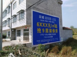  九龙墙体广告质量分析