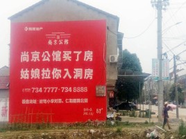  九龙墙体广告在乡镇、农村市场的媒体优势