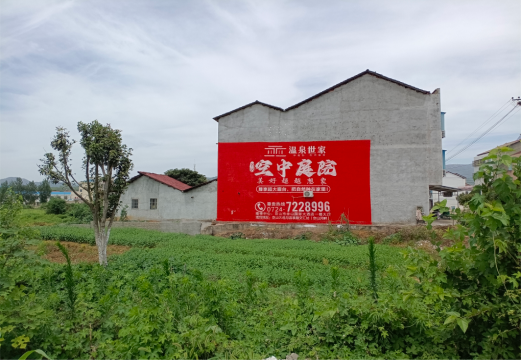  九龙做墙体广告的意义