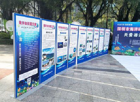  九龙KT板的种类和知识。